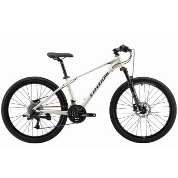 Mountain Bike Q1