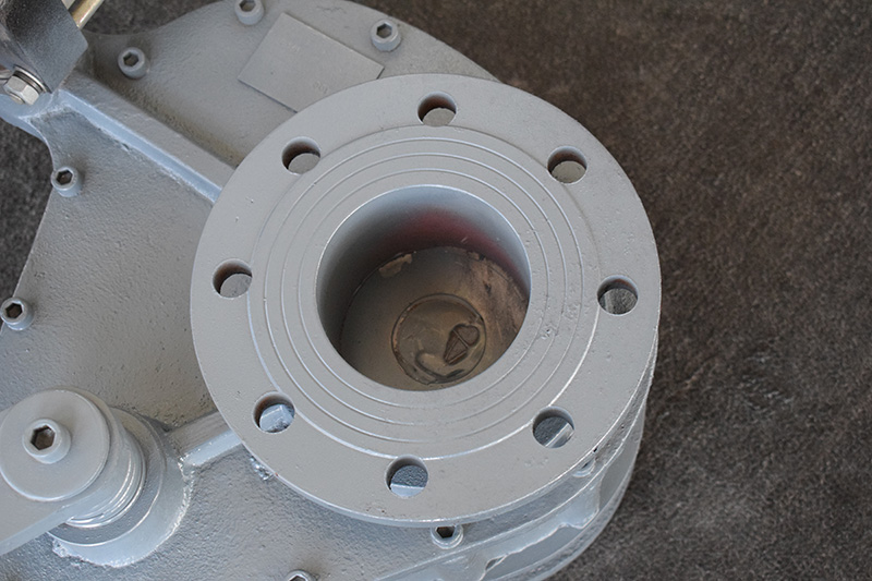 Rotary discharge valve