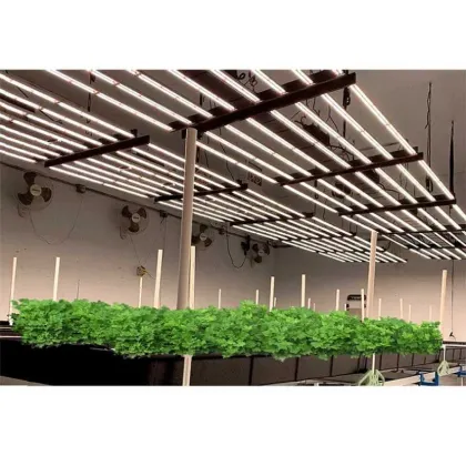 High Power 660W Gavita LED Grow Light - Top Selling Wholesale Full Spectrum Plant Lamp