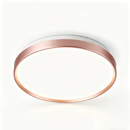 Adjustable color ceiling light