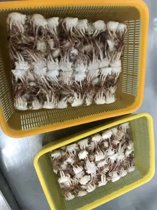 Frozen Sand Crab Cut Crab