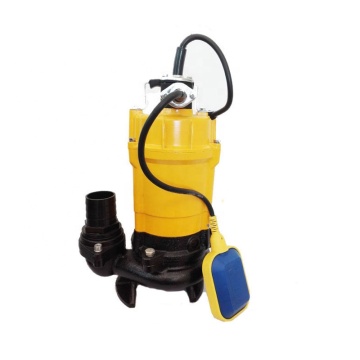 220V 2 Inch AC Submersible Sewage Pump for Dirty Water with Float Switch