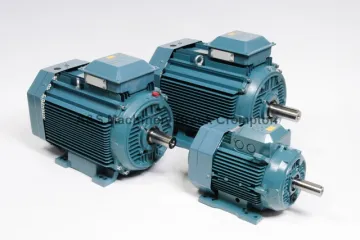 Brook Crompton Motor W-DF80ME