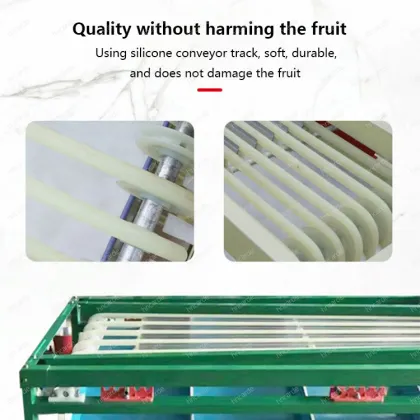 Multifunctional Fruit and Vegetable Grading Sorting Machine