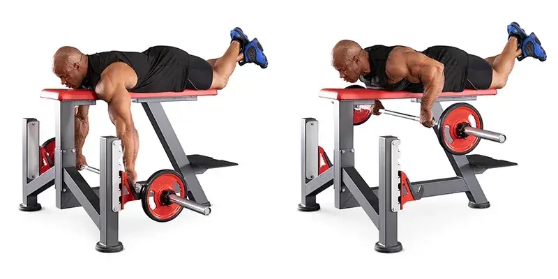 The Seal Row Bench Commercial Gym Equipment