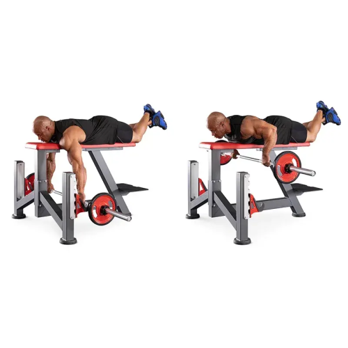 The Seal Row Bench Commercial Gym Equipment