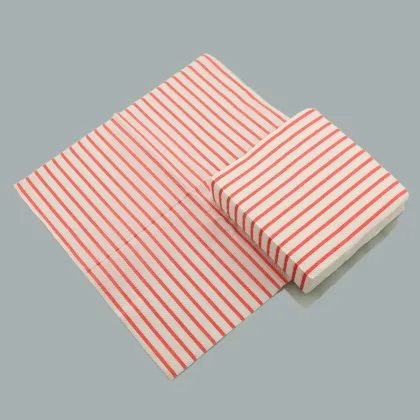 Printed Caspari Napkin Paper