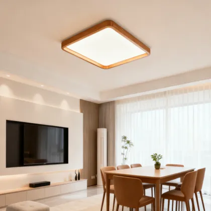 Gentle light ceiling fixture