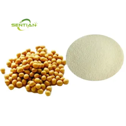 Soy Bean Protein Soy Protein Isolate