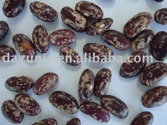 Purple Speckled Kidney Beans