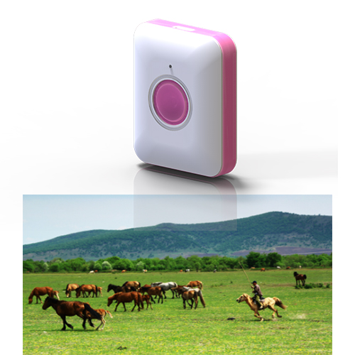 Dispositif de surveillance BLE pour le bétail