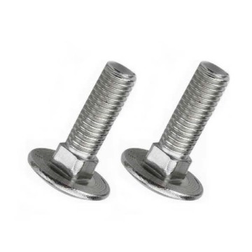 SS304 Short Square Neck Carriage Bolts