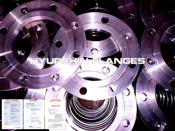 Flange PN16 EN1092-1 DIN BS4504 GOST33259 Forged Steel