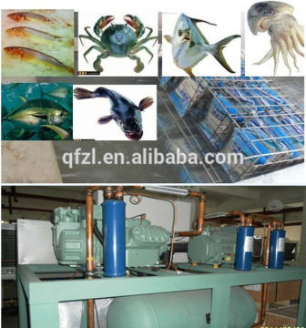 Fast Freezer