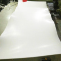 Ausgezeichnete chemisch resistente PTFE Skived Sheet