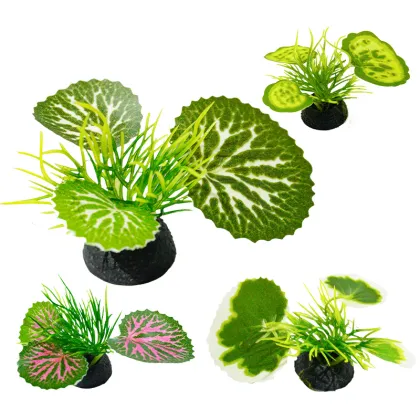 New Arrival Small Size Ornamental Aquatic Plants for Fish Tank Decoration