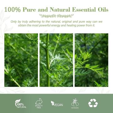 A melhor qualidade de qualidade 100% pura Artemisia Annua Extract Oil