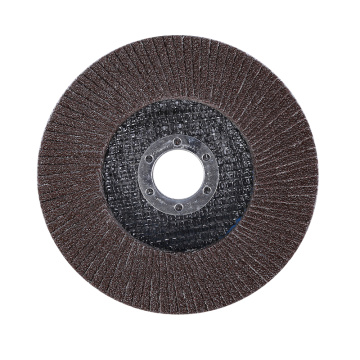 Silicon Carbide Flap Sanding Disc for Grinding Stone