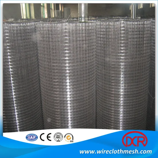 Galvanized Welded Wire Mesh Factory