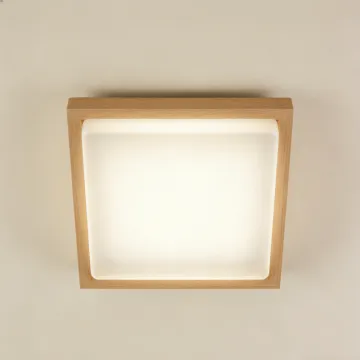 Stylish ceiling lamp for home lighting