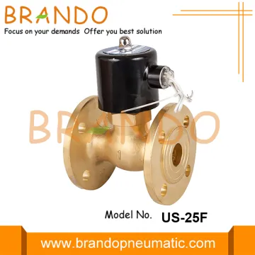 1'' DN25 Flanged Brass Steam Solenoid Valve 220VAC