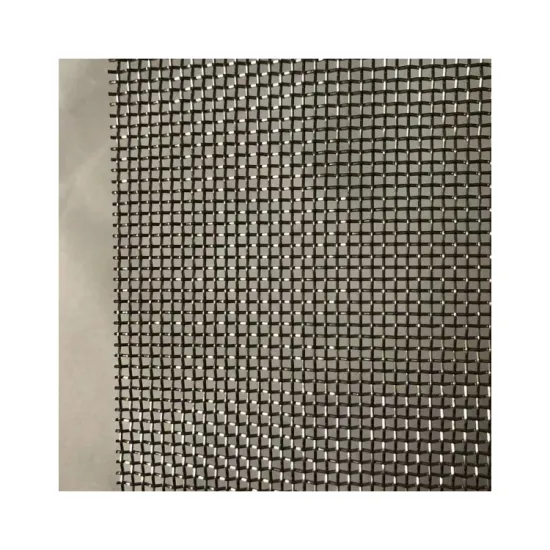 Stainless Steel Woven Wire Mesh for Car Grille