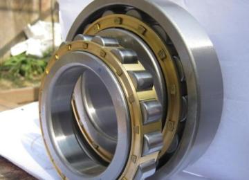 Double Row Cylindrical Roller Bearing (NN3056K/W33)