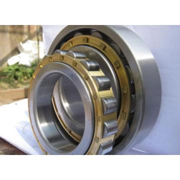 Double Row Cylindrical Roller Bearing (3182156K /NN3056K/W33)