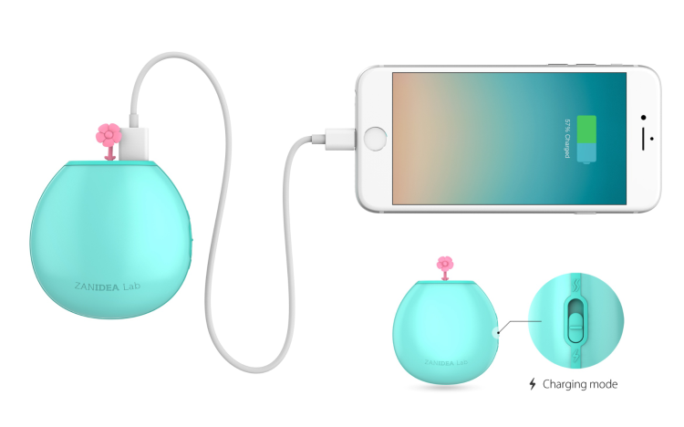 Rohs Charger Power Bank