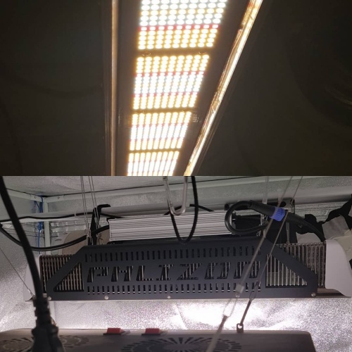 Phlizon 240 W Pro-serie Grow Light SunLike