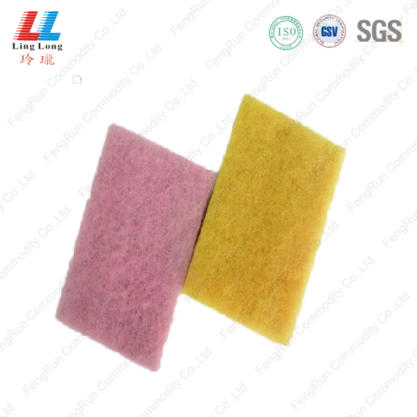 Scouring Sponge