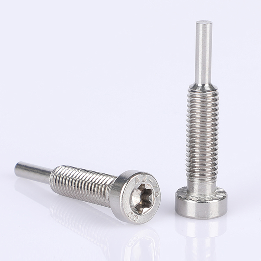 Stainless Steel Hexagon Socket Guide Screws (4)