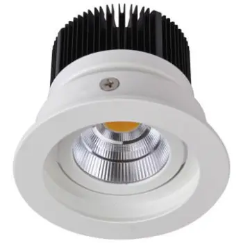 2013 Hot sale 10W COB downlight led with 3 years warranty