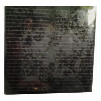 3W/5V/0.6mA PET Solar Panel, Laminated with PCB, Size of 55 x 55 x 30mm