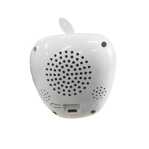 Cute Design 1080P Motion Sensor Wifi IP Camera