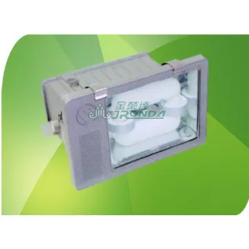 Induction Floodlight 200W