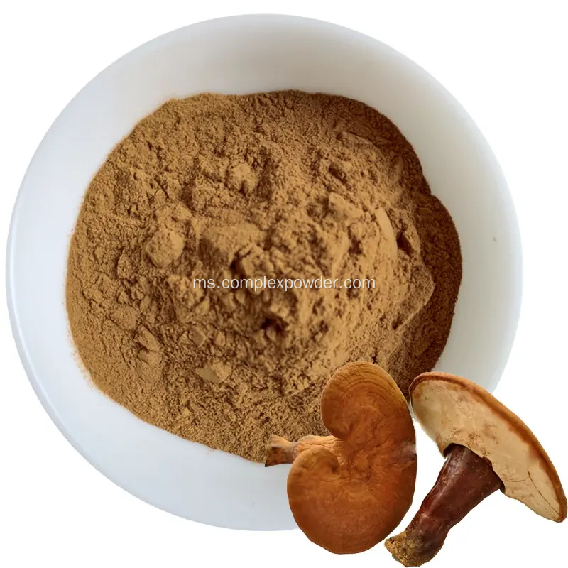 Ekstrak ganoderma berkualiti terbaik dengan harga terbaik