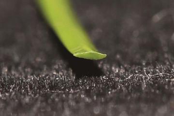 Residential Artificial Grass MT-Graceful  MT-Gorgeous