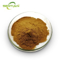 Premium Echinacea Extract