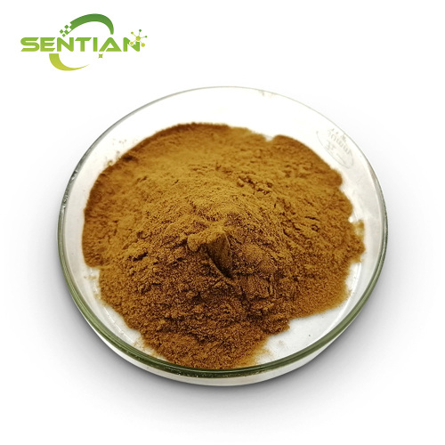Premium Echinacea Extract