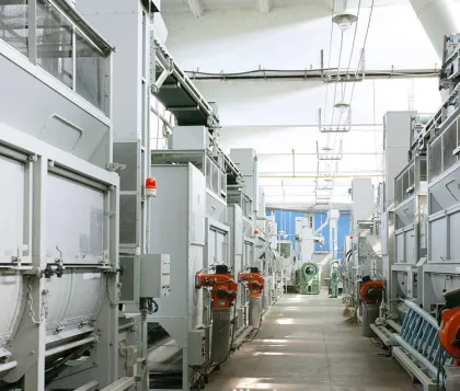 Spring Premium Organic Longjing Green Tea