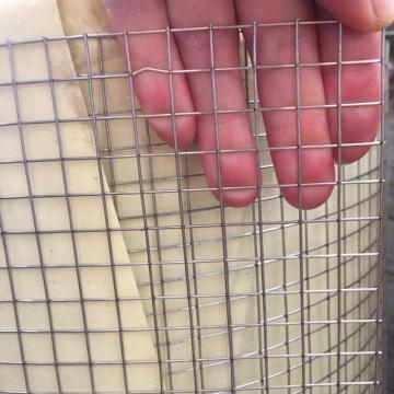 Cheap High Quality Galvanized Welded Wire Mesh Roll