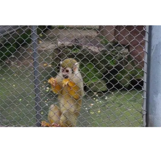Chain Link Wire Mesh Manufacturer for Zoo Enclosures
