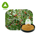 Ziziphus Jujuba Extract Jujubosides 2% poeder