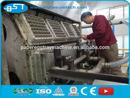 egg tray machine termo