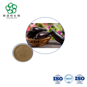 Solanum Melongena Extract Bulk 10:1 for Nutraceuticals