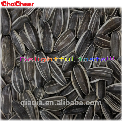 Chinese wholesale sunflower seeds TY0409 market price