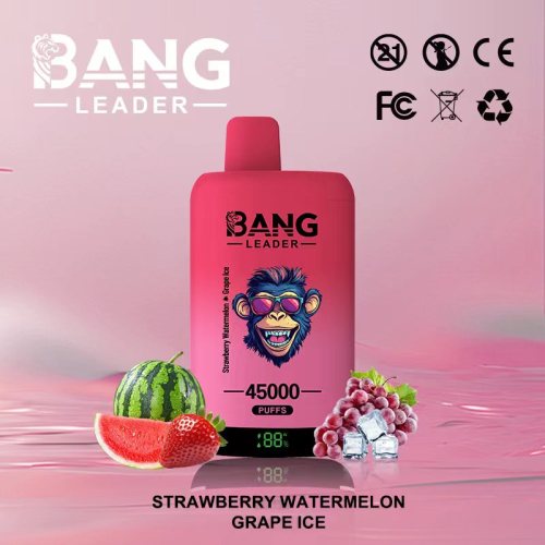 Bang Leader 45K Disposable Vape Wholesale Portugal