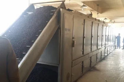 High Standard Belt Dryer for Pigment