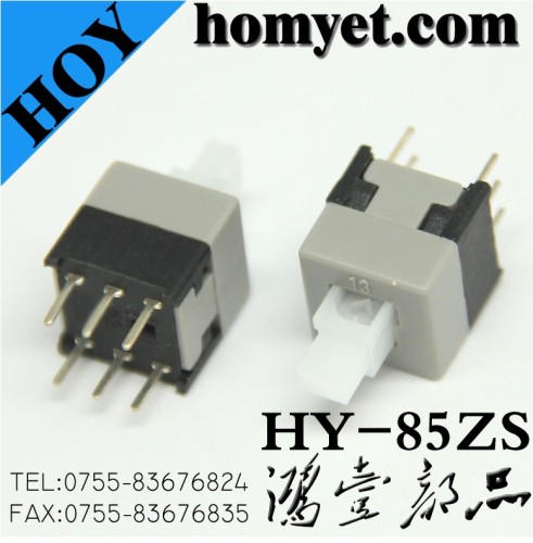 6 Pin Key Switch on off Hy-85zs